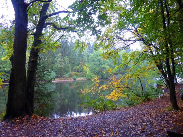 Herbststimmung im Erholungsgebiet Itzenplitz bei Schiffweiler-Heiligenwald