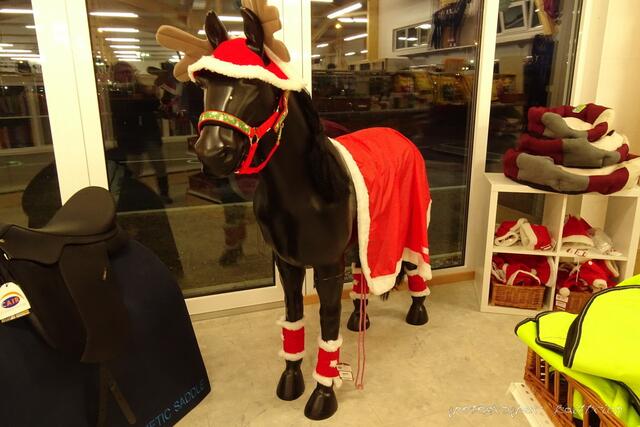 ...fröhliche Weihnachten....