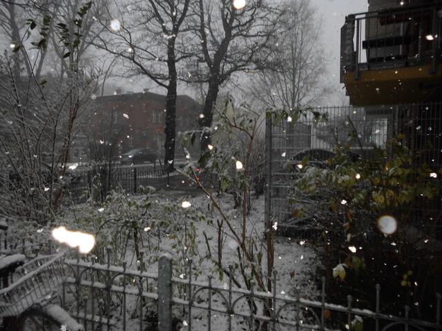 Schneeflocken