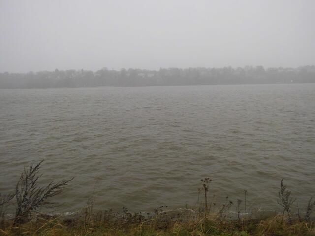 Ein Blick über die Elbe