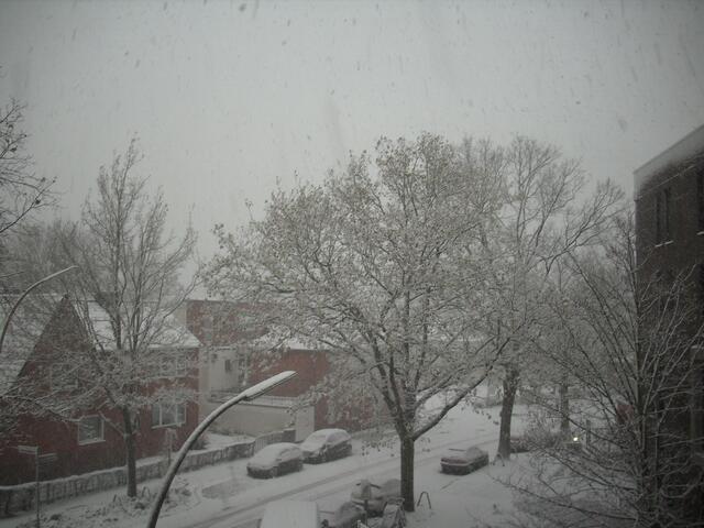 Schneefall