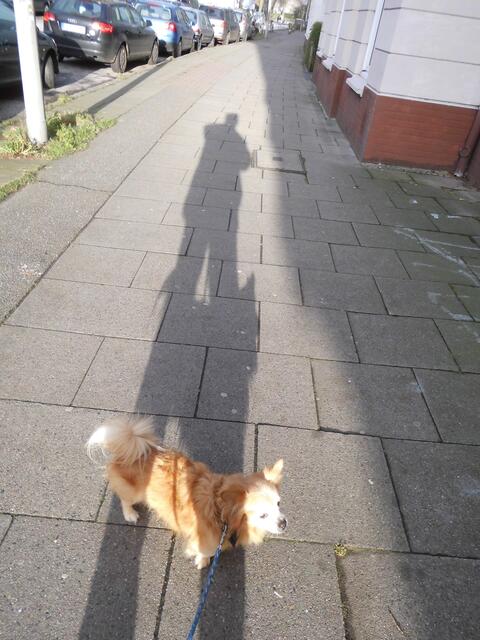 Dieses Foto habe am gleichen Tag gemacht nur Morgens