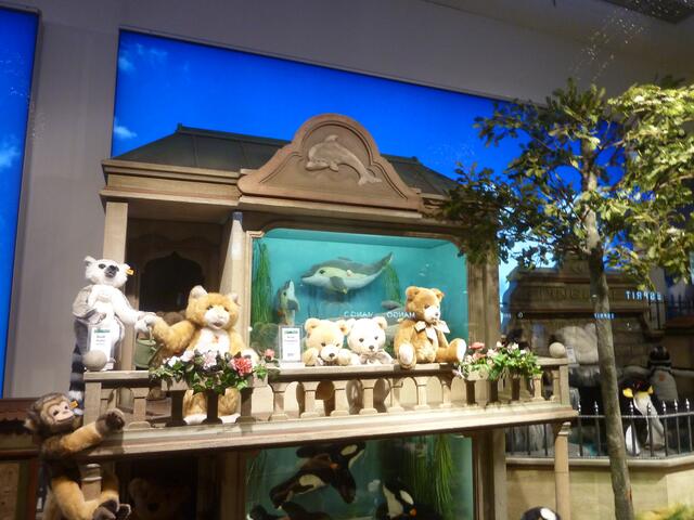 Viele Bären sitzen vor dem Delfinarium.