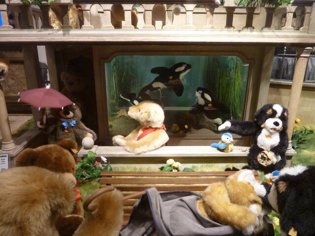 Hier tummeln sich nicht nur die Orkas.