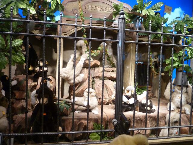 Hinter den Gitterstäben ist das dollste Affentheater.