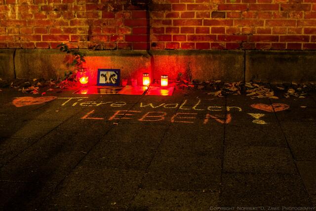 Foto: Norbert Zawe