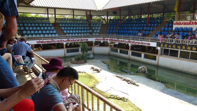 Die Arena !