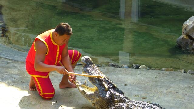 Einer der chinesischen Trainer !