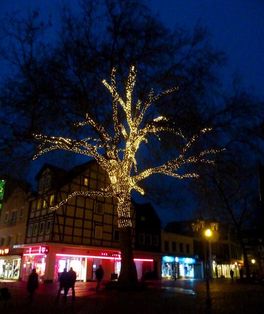 Nun ist es völlig dunkel und der Lichterglanz im Baum zeigt sich in seiner ganzen Pracht.