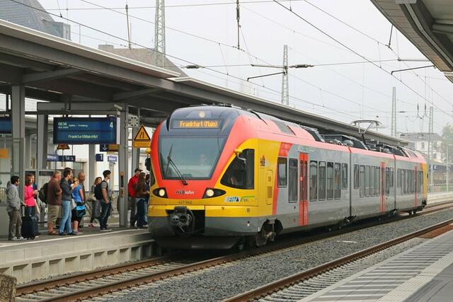 HLB in Marburg (21.08.2015)