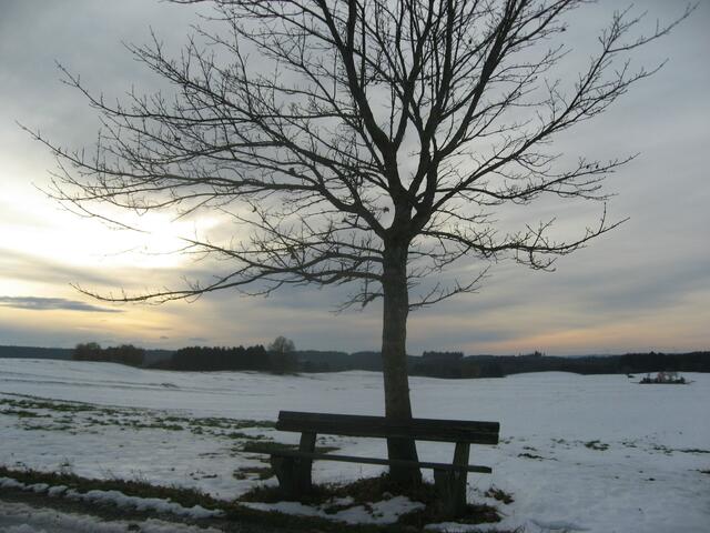 Kalte Nächte um Weihnachten - 2013