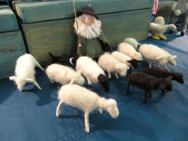 So ein Mist - die Schafe sind total verfilzt!