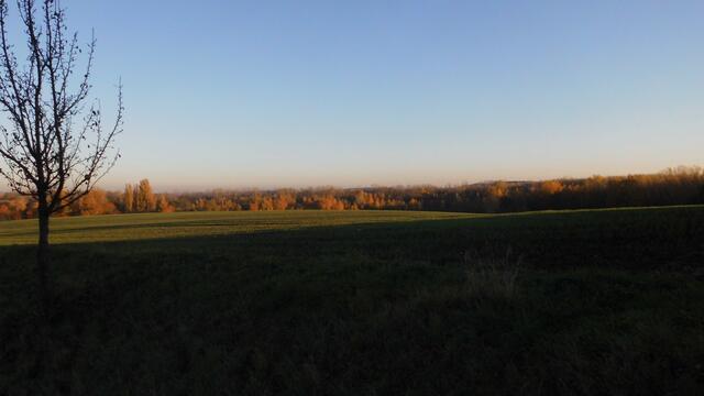 Blick auf einen Teil des Naturschutzgebietes "Restloch Zechau" von der Straße Rositz-Zechau.