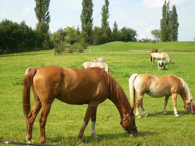 Landleben halt :-)