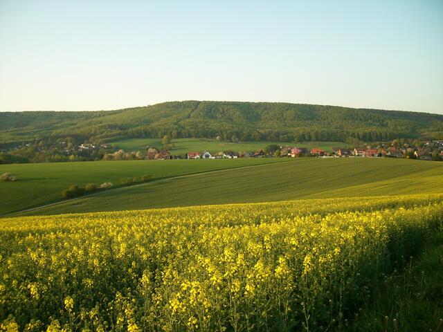 Am Nienstedter Paß