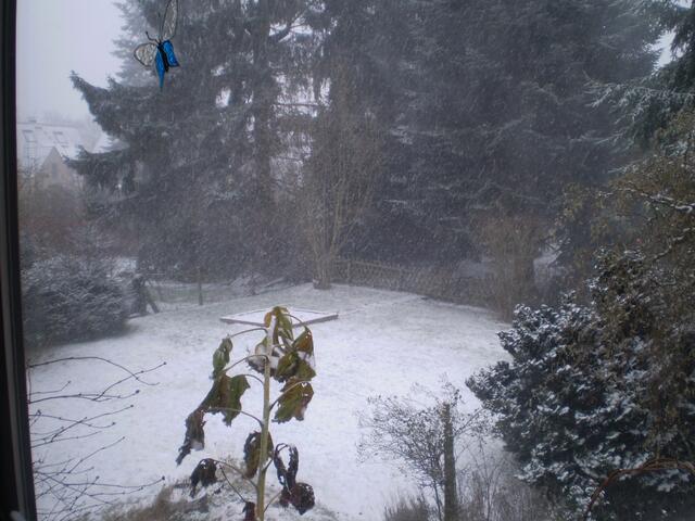 Bremen, 3. Januar 2016