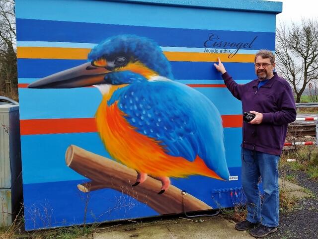Eisvogel
