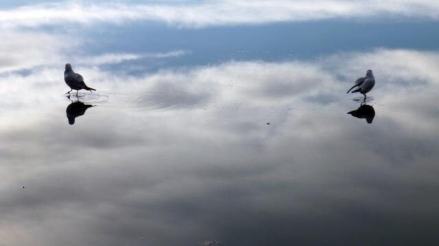 Spaziergang in den Wolken...