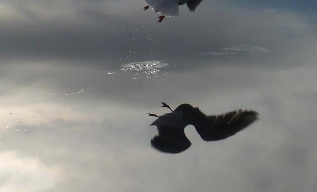 Abflug!