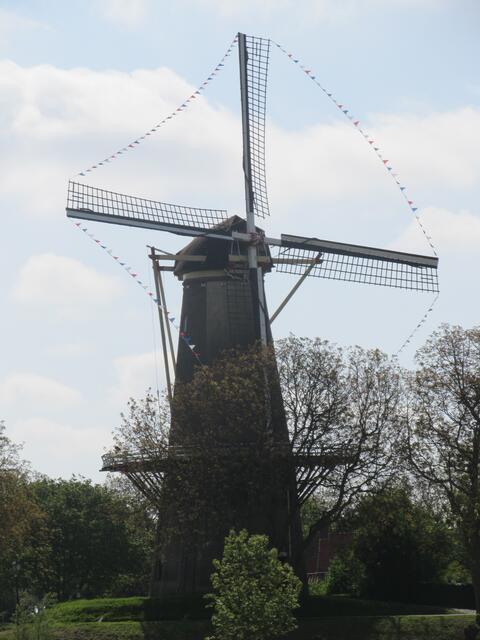 Windmühle Buren