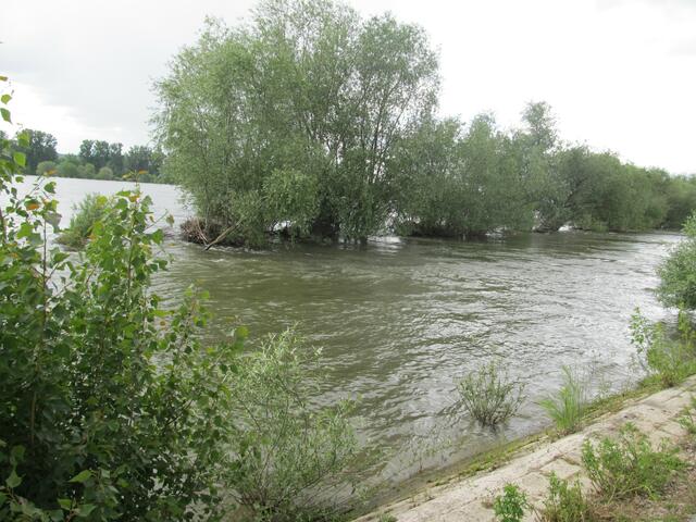 Hochwasser ...