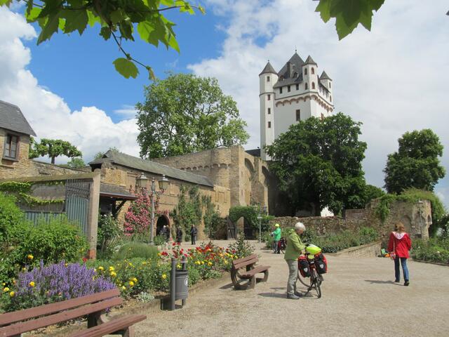 Eltville - kurfürstliche Burg