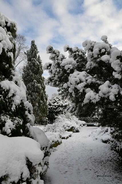 In Watte gepackt - Berggarten Herrenhausen (Foto: Katja Woidtke)
