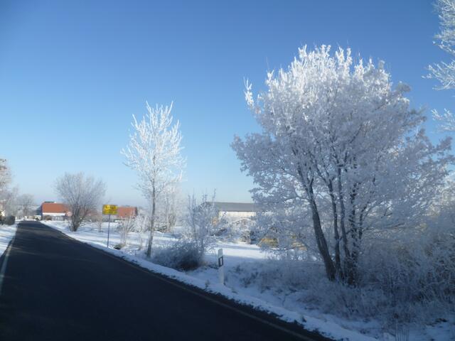 Ein paar (viele) sonnige Winterbilder aus Nebra und dem Unstruttal vom 22.1.2016 !