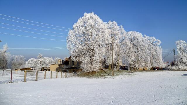 Ein paar (viele) sonnige Winterbilder aus Nebra und dem Unstruttal vom 22.1.2016 !
