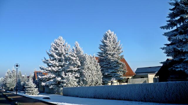Ein paar (viele) sonnige Winterbilder aus Nebra und dem Unstruttal vom 22.1.2016 !