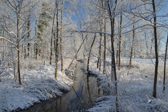 Auf der Fuchsbachbrücke