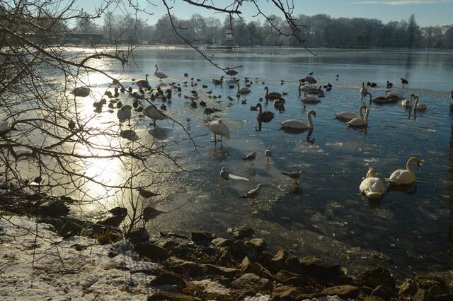 Kleines Meeting am Wasserloch