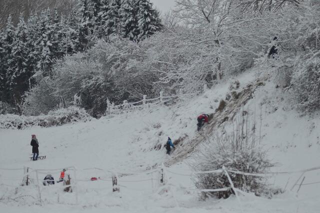 Rodeln an der Droht Eiszeitterrasse