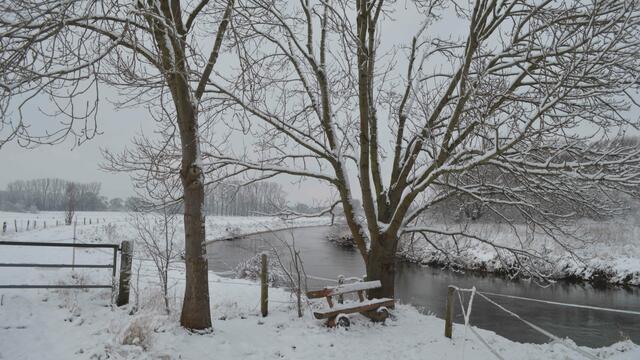 Mein Lieblingsplatz an der Leine