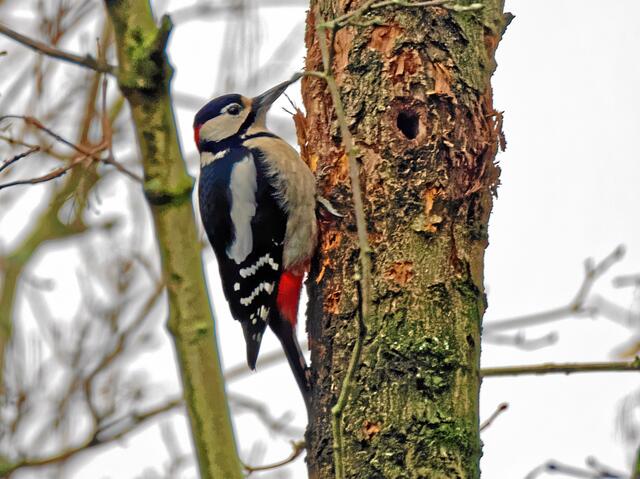 "Einmal gut zielen und dann ..."