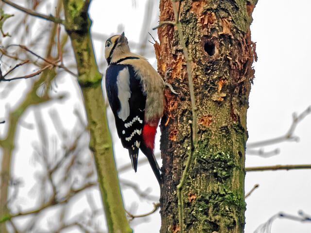 "Oh, jetzt werde ich auch noch gefilmt, geht das überhaupt bei diesem schlechten Wetter?"