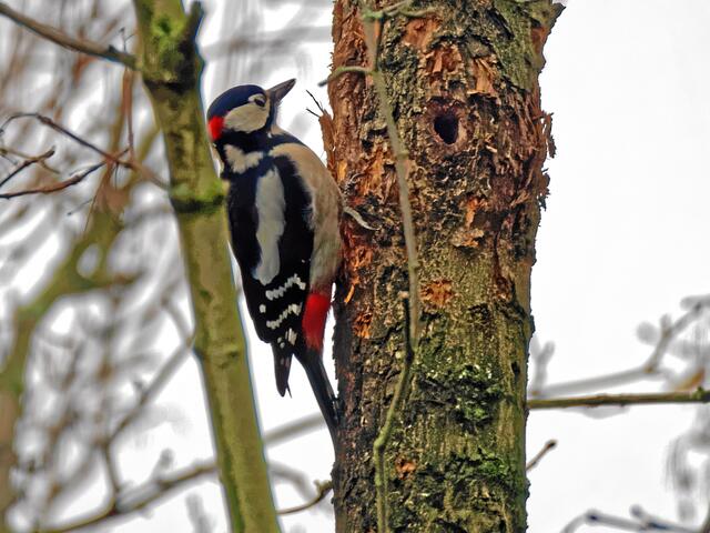 "Das sieht doch hier schon ganz gut aus!"