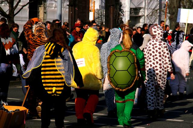 Das bunte Hinterteil von Biene Maja und der Schildkröte mit ihren Freundinnen.