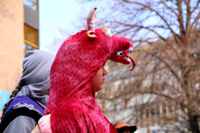 Der Drachen vom letztem Jahr ????