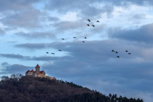Blick zur Wachsenburg, heute Nachmittag |  Foto: SCHWARZE-art-PHOTOGRAPHIE