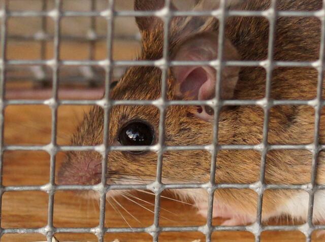 Die Fotografin im Auge der Maus! Bitte mit der Lupe betrachten.