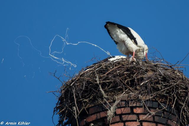 Der starke Ostwind ist hier gefährlich für den Fotografen