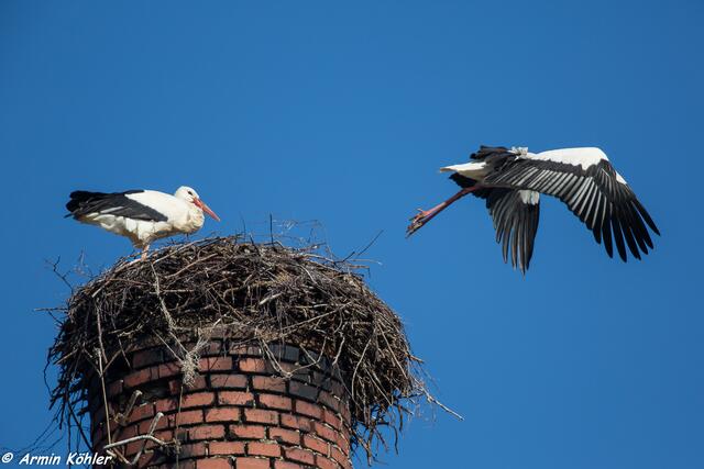 Abflug