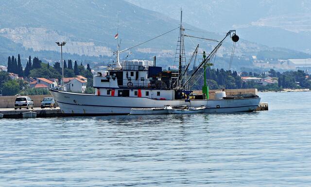 Fischer in Kastel Stafilic