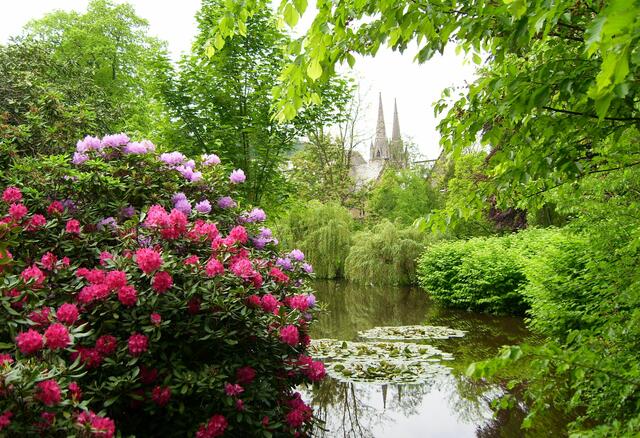 Der beharrliche Einsatz für den Erhalt des Alten Botanischen Gartens ist mühsam, aber lohnend. Hier mit Blick auf die Türme der Elisabethkirche.