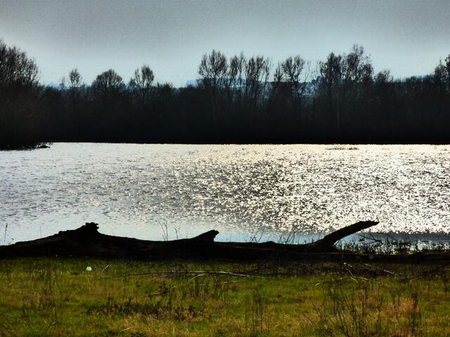 Am See