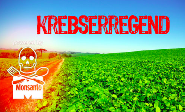 Foto: screenshot https://www.regenwald.org