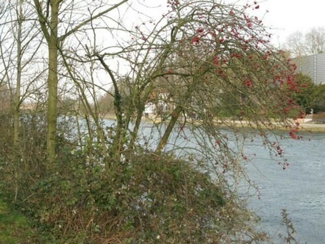 Mülheim an der Ruhr