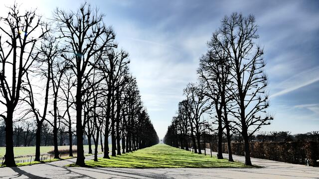 Mit Blick in die Ferne