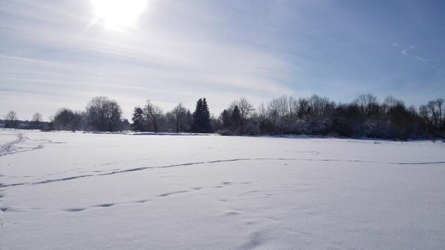 2015 Februar - Lechwiese